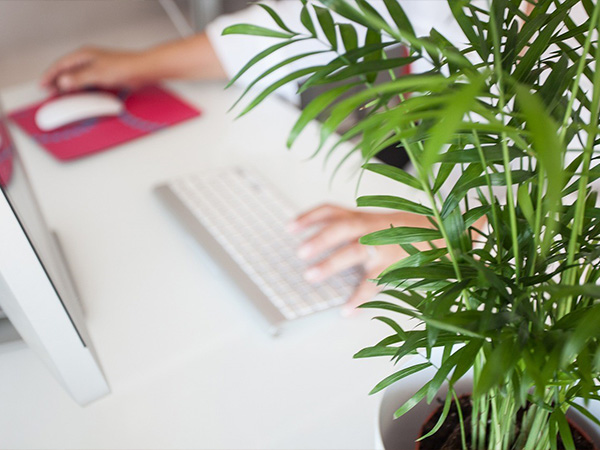 Sekretatriat Bürgermeister Gemeinde Großwallstadt